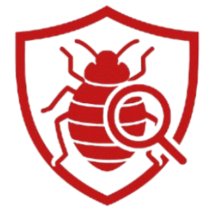 Punaise de Lit traitement rapide