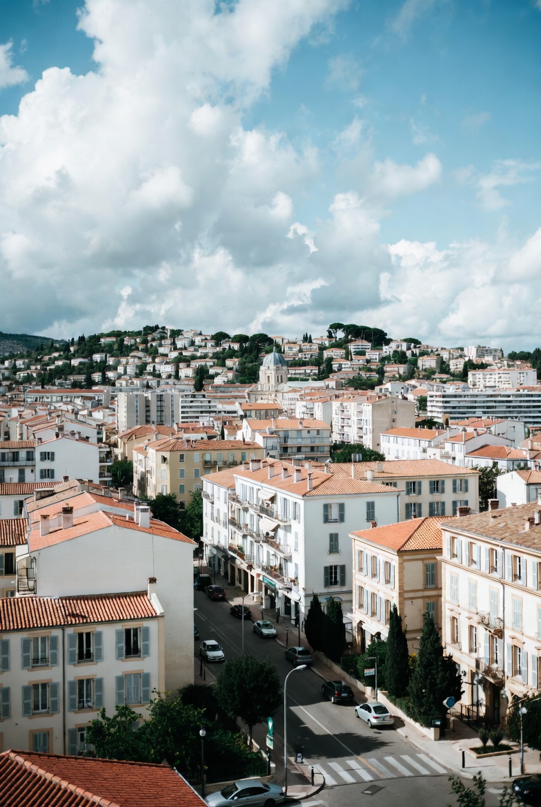 Traitement des punaises de lit à Fréjus